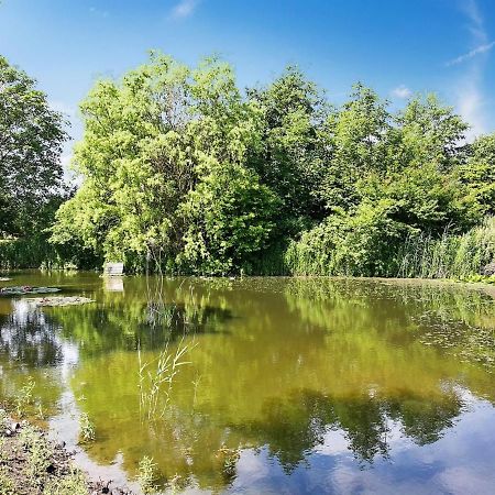 Holiday Home Sibo - 1-5Km From The Sea In Lolland- Falster And Mon By Interhome Stege Zewnętrze zdjęcie